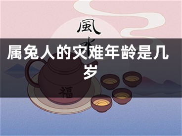 属兔人的灾难年龄是几岁