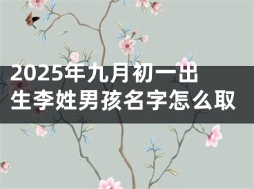 2025年九月初一出生李姓男孩名字怎么取