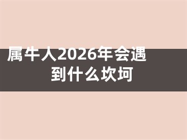 属牛人2026年会遇到什么坎坷