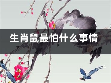 生肖鼠最怕什么事情