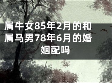 属牛女85年2月的和属马男78年6月的婚姻配吗