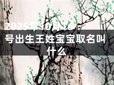 2025年10月16号出生王姓宝宝取名叫什么