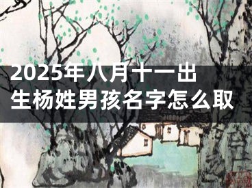 2025年八月十一出生杨姓男孩名字怎么取