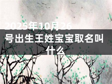 2025年10月26号出生王姓宝宝取名叫什么