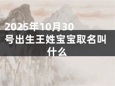 2025年10月30号出生王姓宝宝取名叫什么