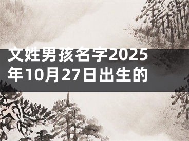 文姓男孩名字2025年10月27日出生的