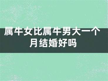 属牛女比属牛男大一个月结婚好吗