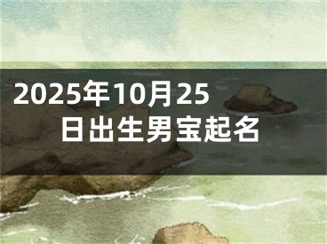 2025年10月25日出生男宝起名