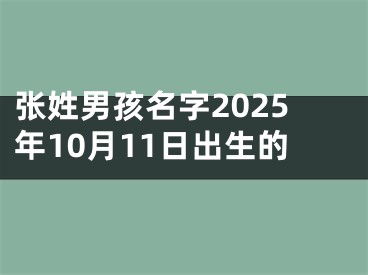 张姓男孩名字2025年10月11日出生的