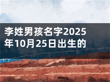 李姓男孩名字2025年10月25日出生的