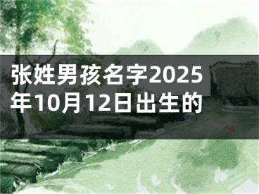 张姓男孩名字2025年10月12日出生的