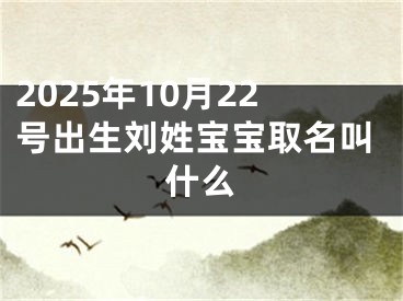2025年10月22号出生刘姓宝宝取名叫什么