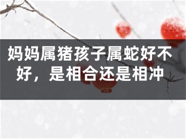 妈妈属猪孩子属蛇好不好，是相合还是相冲