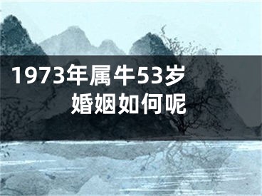 1973年属牛53岁婚姻如何呢