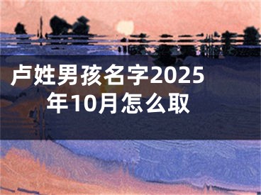 卢姓男孩名字2025年10月怎么取