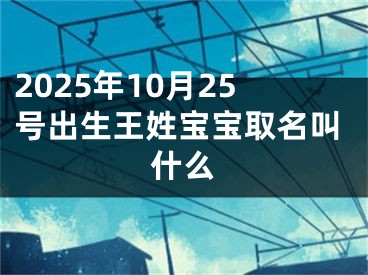 2025年10月25号出生王姓宝宝取名叫什么