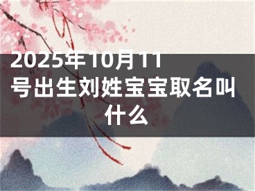 2025年10月11号出生刘姓宝宝取名叫什么