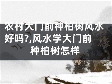 农村大门前种柏树风水好吗?,风水学大门前种柏树怎样