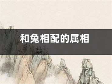 和兔相配的属相
