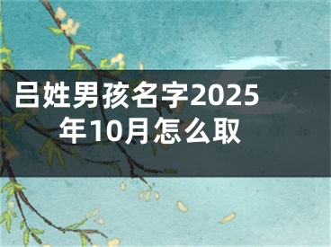 吕姓男孩名字2025年10月怎么取