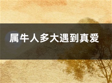 属牛人多大遇到真爱