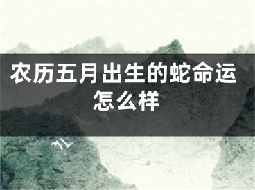 农历五月出生的蛇命运怎么样