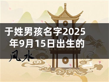 于姓男孩名字2025年9月15日出生的