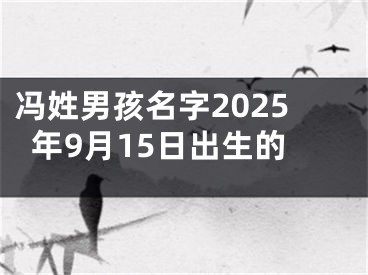 冯姓男孩名字2025年9月15日出生的