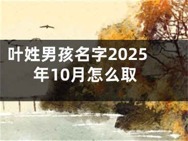 叶姓男孩名字2025年10月怎么取
