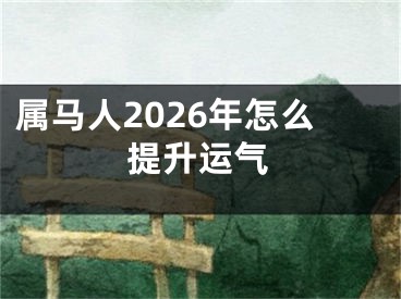 属马人2026年怎么提升运气