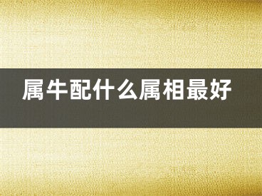 属牛配什么属相最好