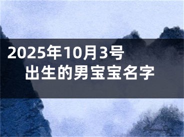 2025年10月3号出生的男宝宝名字