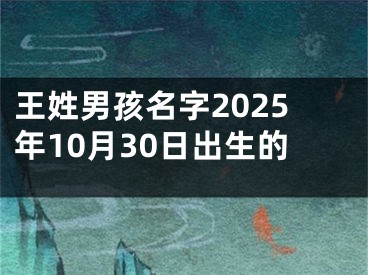 王姓男孩名字2025年10月30日出生的