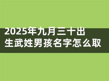 2025年九月三十出生武姓男孩名字怎么取