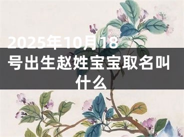 2025年10月18号出生赵姓宝宝取名叫什么