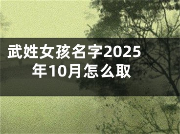 武姓女孩名字2025年10月怎么取