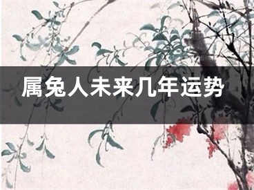 属兔人未来几年运势