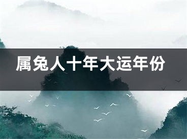 属兔人十年大运年份