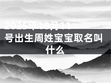 2025年10月11号出生周姓宝宝取名叫什么
