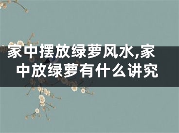 家中摆放绿萝风水,家中放绿萝有什么讲究