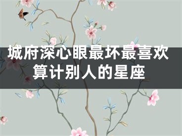 城府深心眼最坏最喜欢算计别人的星座
