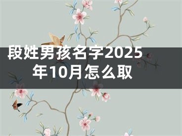 段姓男孩名字2025年10月怎么取