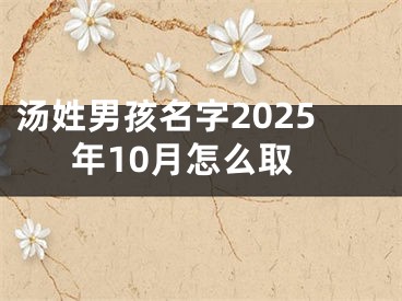 汤姓男孩名字2025年10月怎么取