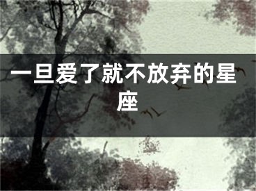 一旦爱了就不放弃的星座