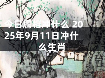 今日属相冲什么 2025年9月11日冲什么生肖