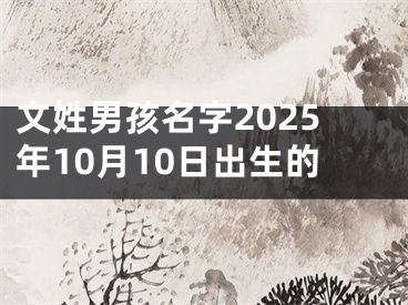 文姓男孩名字2025年10月10日出生的