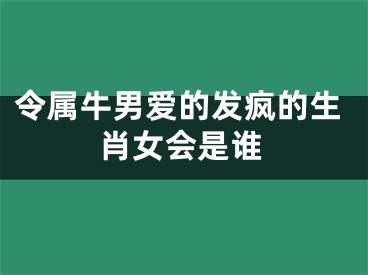 令属牛男爱的发疯的生肖女会是谁