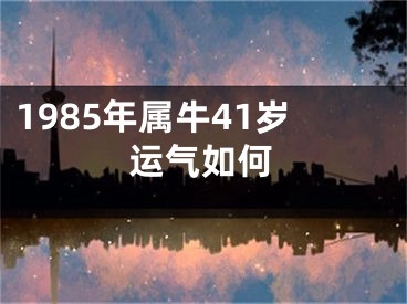 1985年属牛41岁运气如何