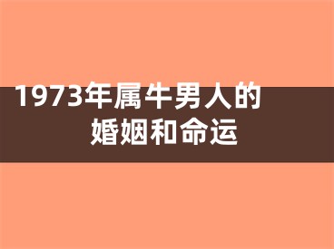1973年属牛男人的婚姻和命运