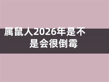 属鼠人2026年是不是会很倒霉